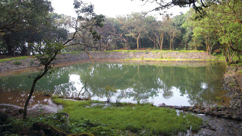 Waghzara, Amba Ghat, Kolhapur