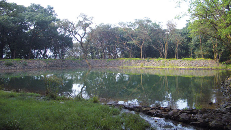 Waghzara, Amba Ghat, Kolhapur