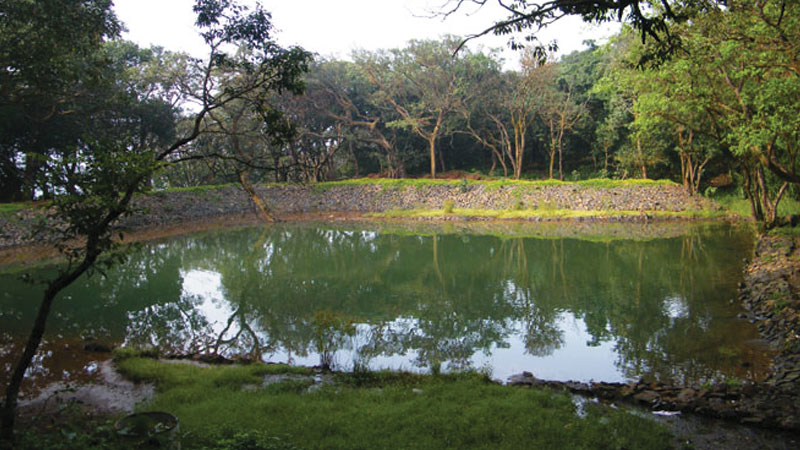 Waghzara, Amba Ghat, Kolhapur